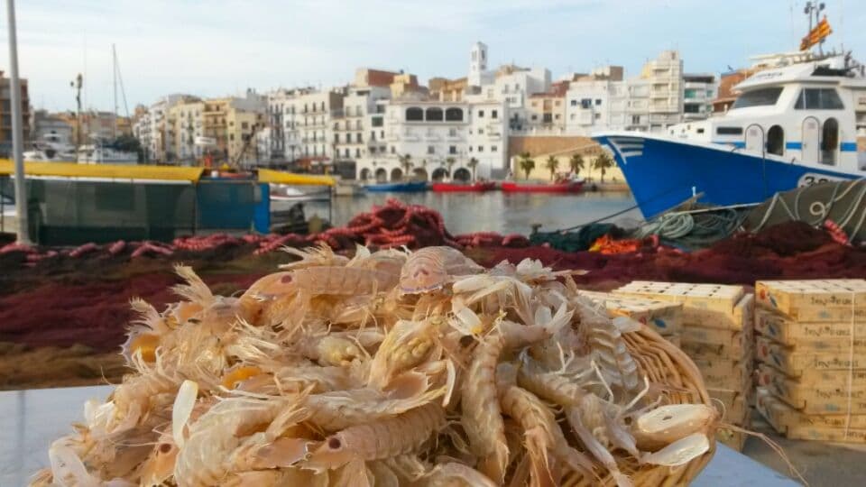 El pescado y el marisco de la Cala