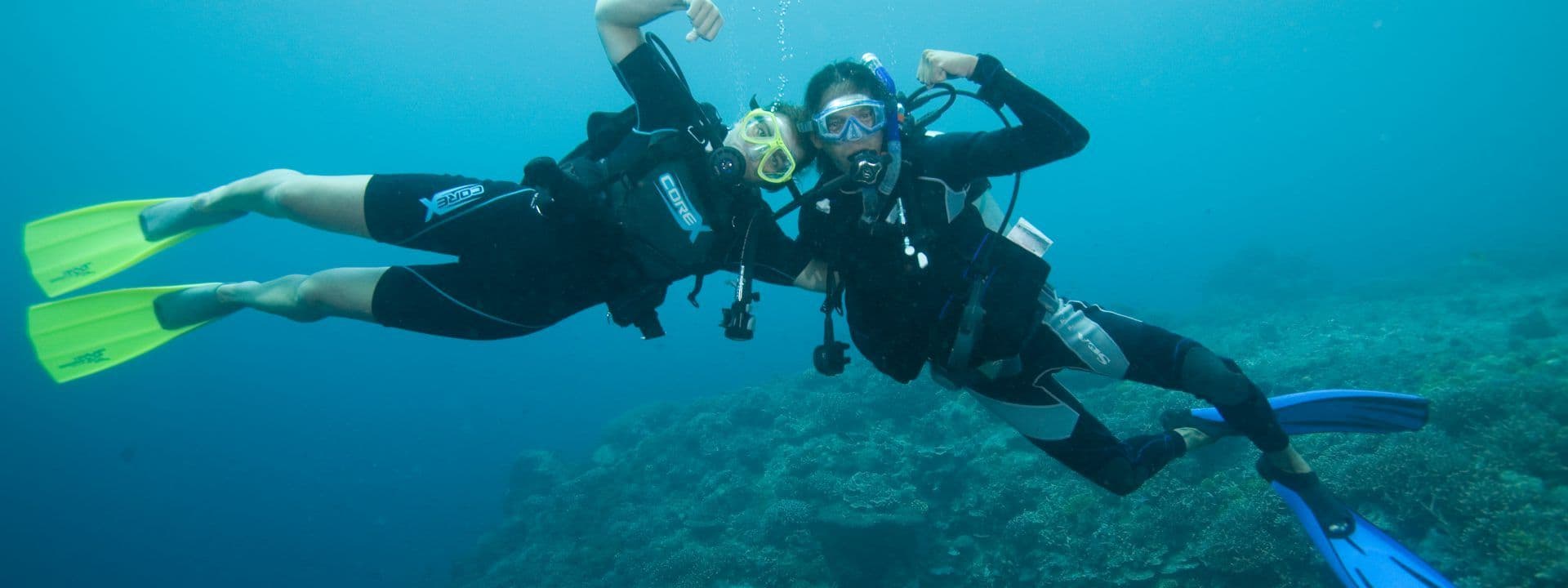 Diving: The treasures of the seabed of L'Ametlla de Mar