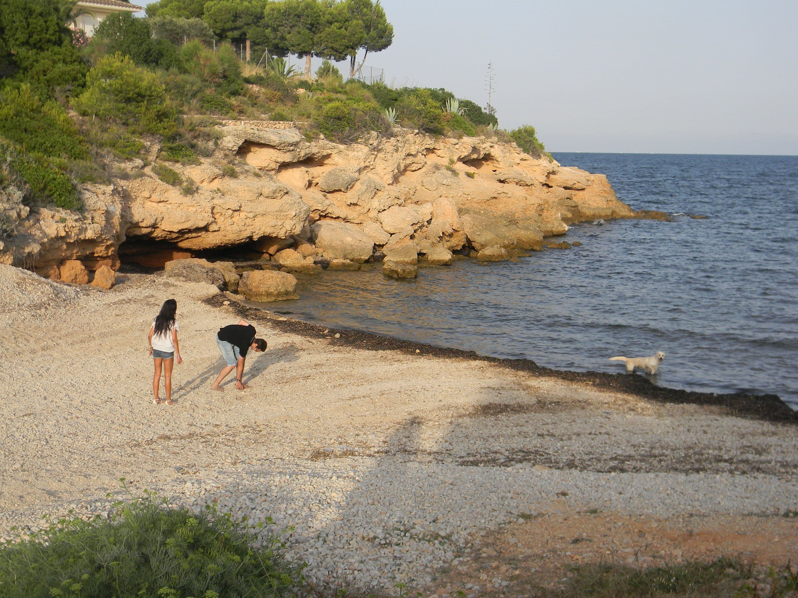 Navegnat davant l'Ametlla de Mar