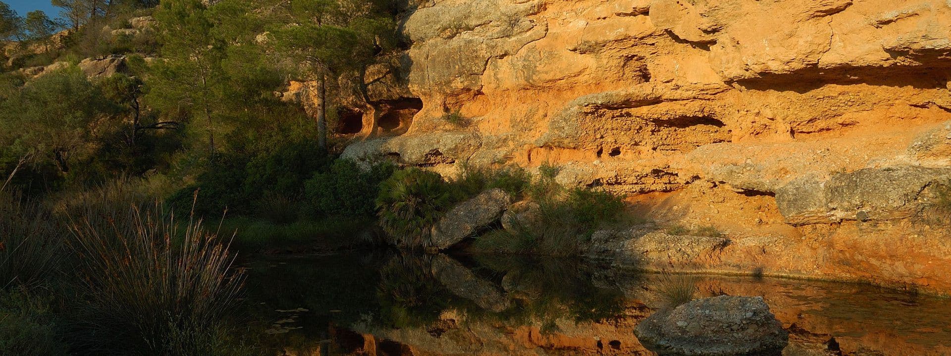 Los espacios naturales de las lagunas del litoral en estado de peligro debido a su regresión