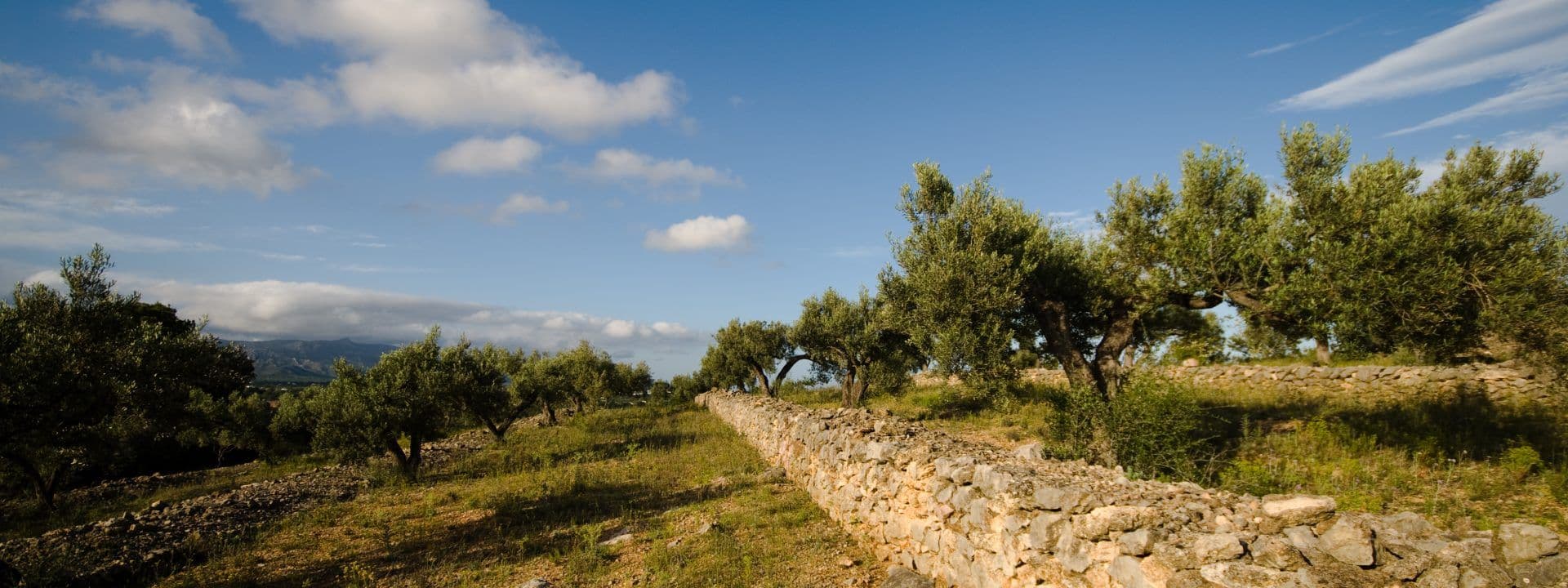L'Ametlla de Mar and its "Mediterranean Paths", 3 hiking (and biking) routes that you will love. (Part 3)