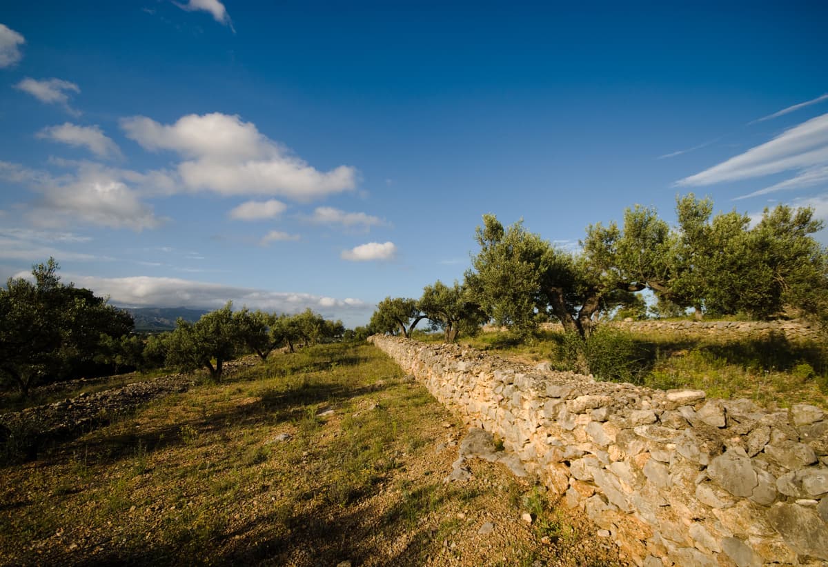 Ruta de naturaleza en la costa