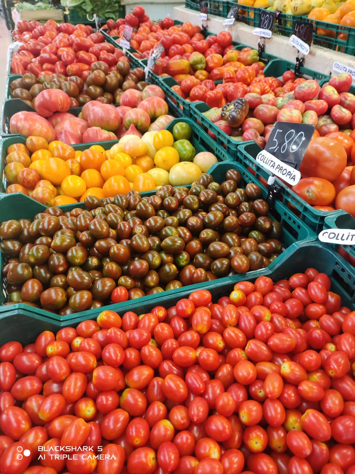 Marché Municipal