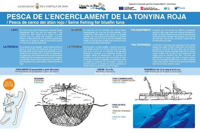 10. Seine fishing for bluefin tuna (Route: Discover the essence of a fishing village).