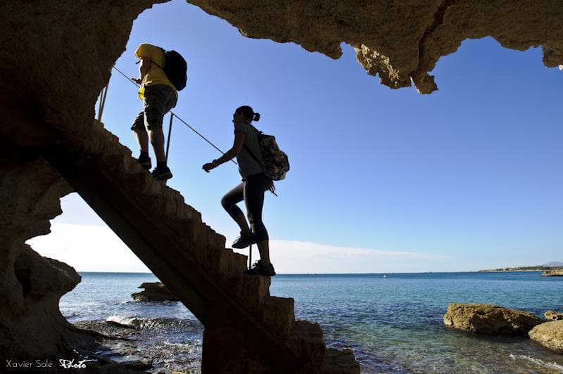   Randonnée GR-92 de l'Ametlla à "Cala de l'Àliga" - Où les pins tombent amoureux de la Mer
