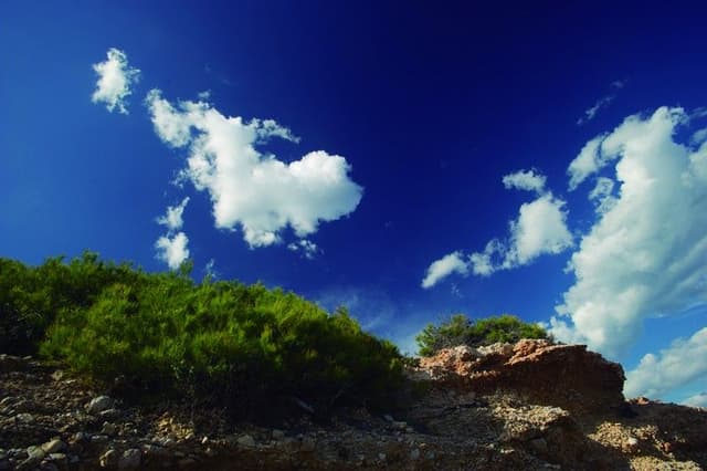 5. Coastal Cliffs (Coastal Nature Path)