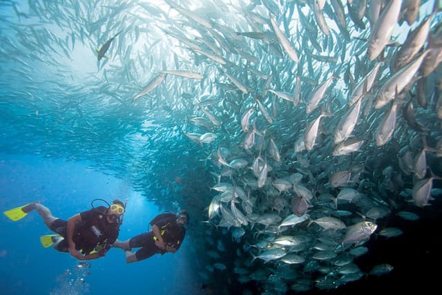 2. Cala Vidre (Underwater Route)