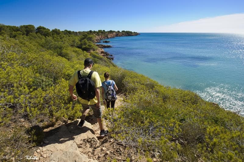   Randonnée GR-92 de l'Ametlla à "Cala de l'Àliga" - Où les pins tombent amoureux de la Mer