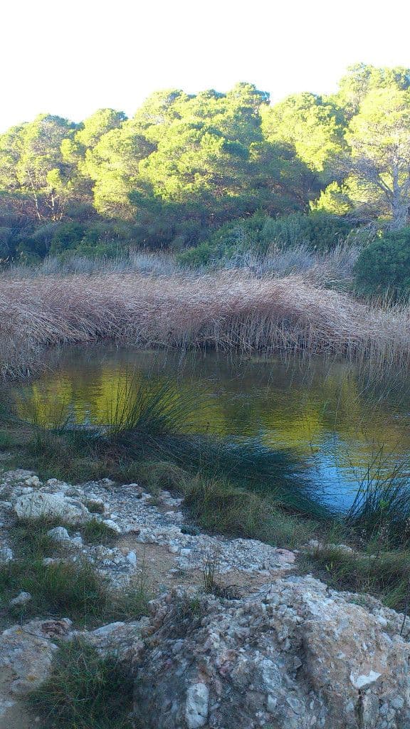 9. Espace d'Intérêt Naturel de la Plage de "Santes Creus" (Route GR-92)