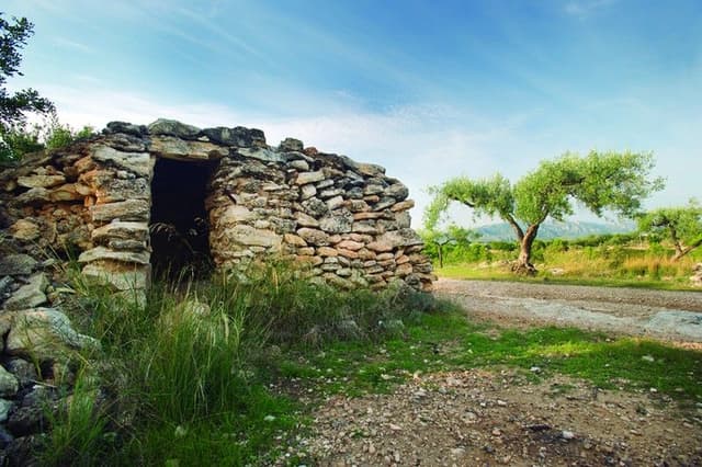 1. Murets et structures en pierres sèches (route des oliviers)