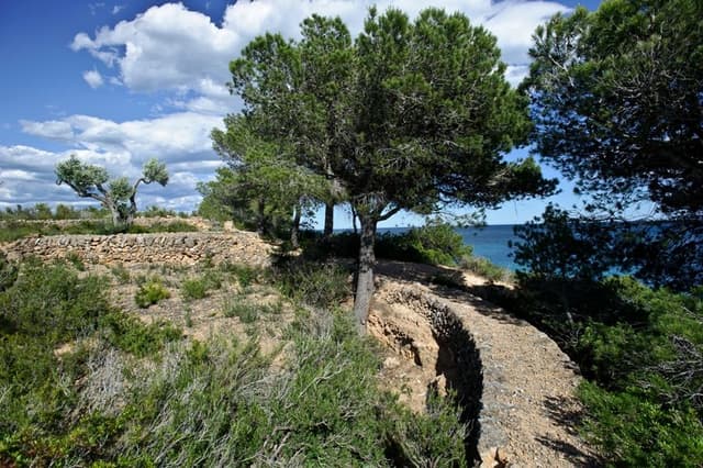 10.  Tranchées de "l'Estany Podrit" (Route GR-92)