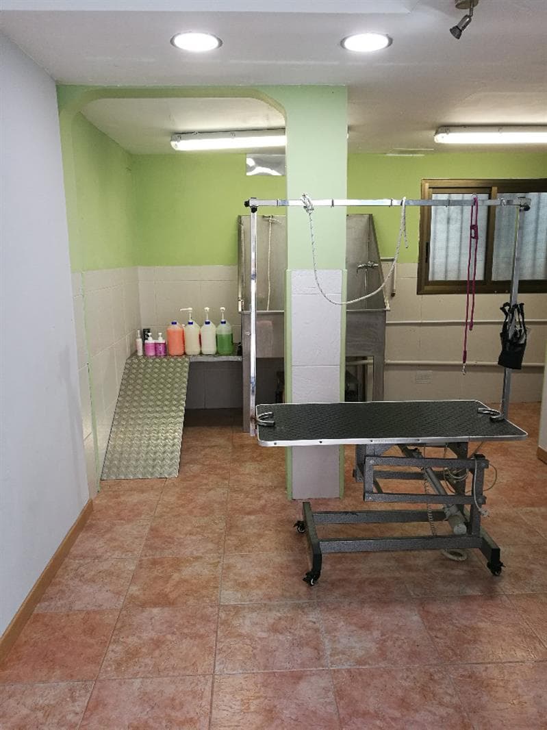 Perruqueria canina & felina Almucan