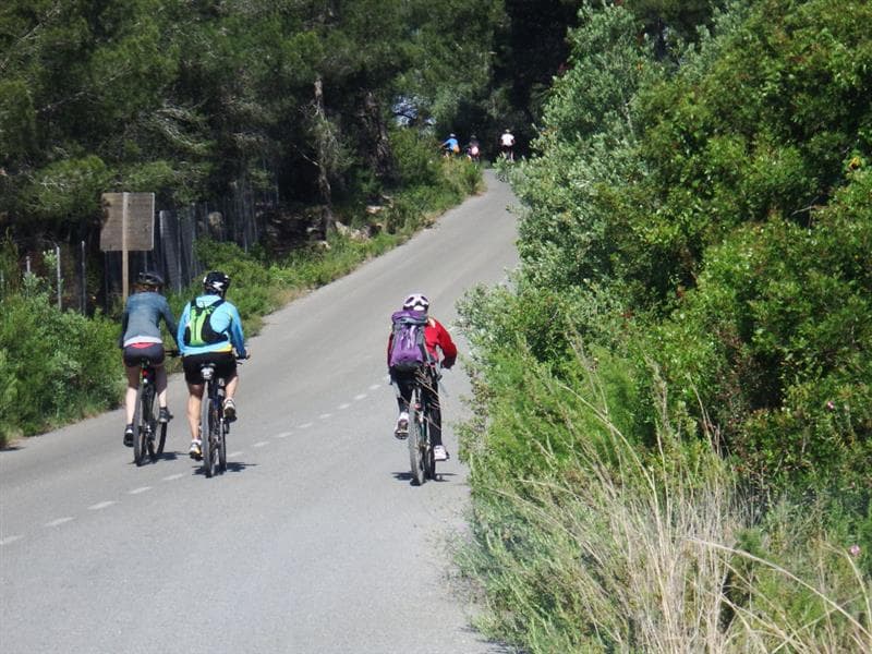 Bicicletes Lloguer - Mar Natura