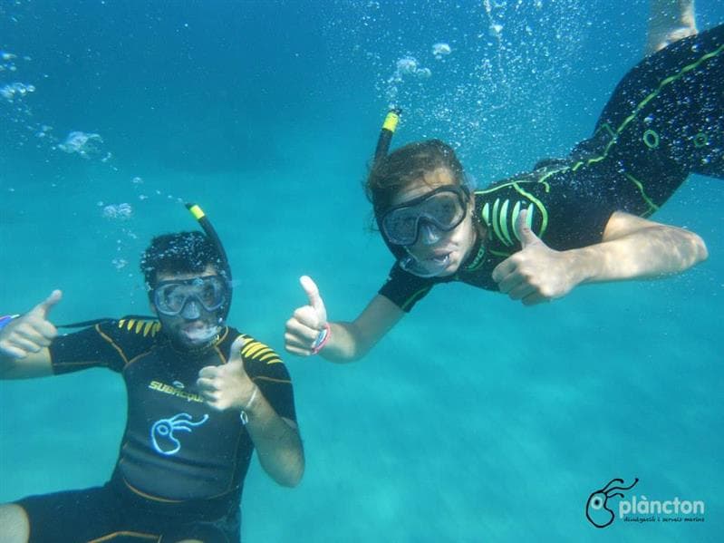 Experiència snorkel amb oceanògrafes - Plàncton Diving