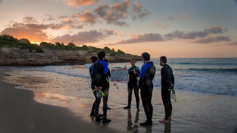 Experiència snorkel amb oceanògrafes - Plàncton Diving