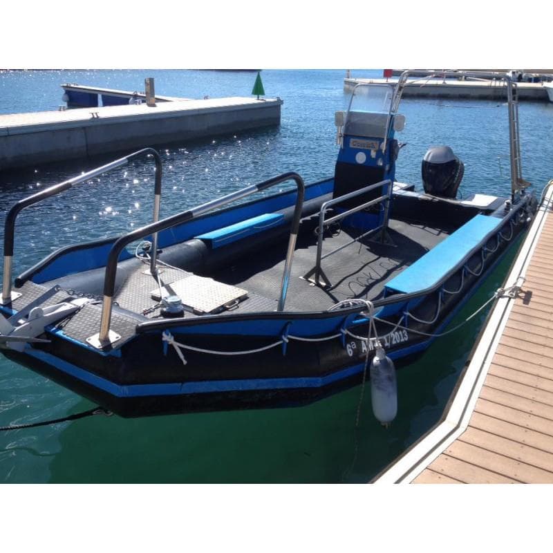 Excursion en bateau + plongée en apnée Cueva del Llop Marí + Mar Natura