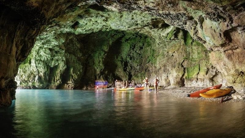 Excursion en bateau + plongée en apnée Cueva del Llop Marí + Mar Natura