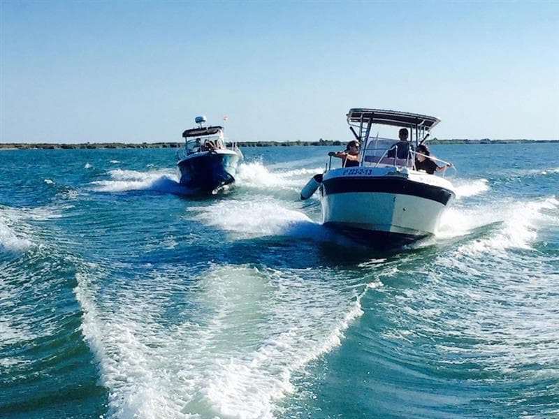  Alquiler embarcación Playamar 636 - Top Fisher