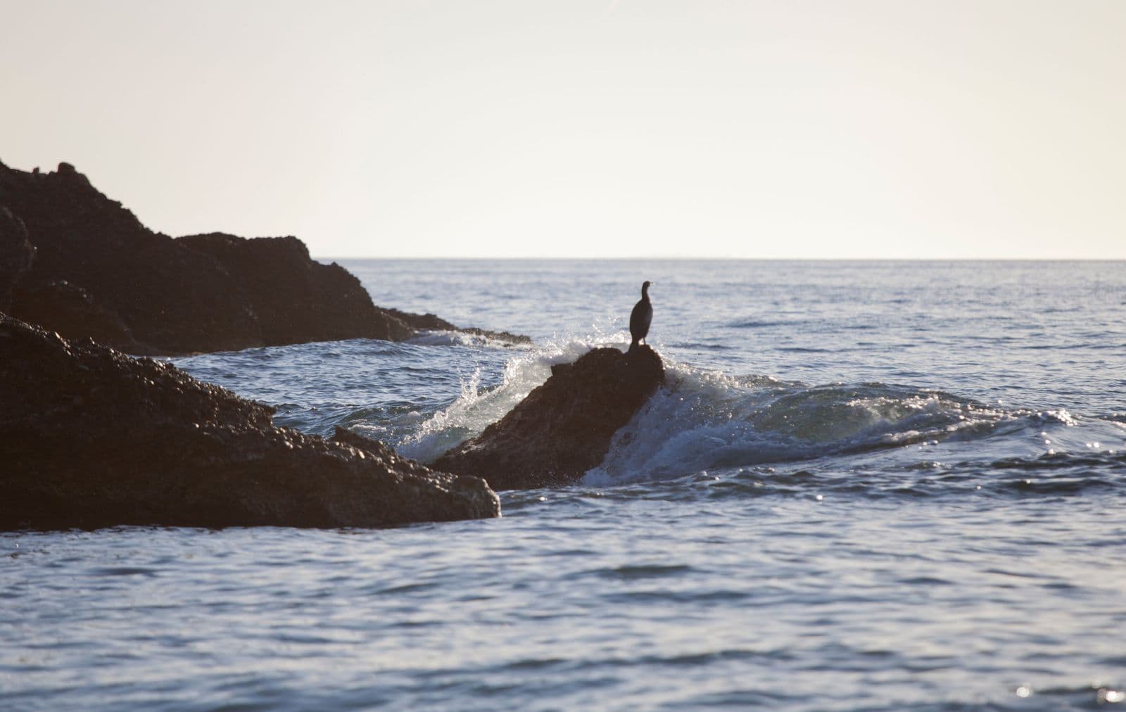 Observando el mar...