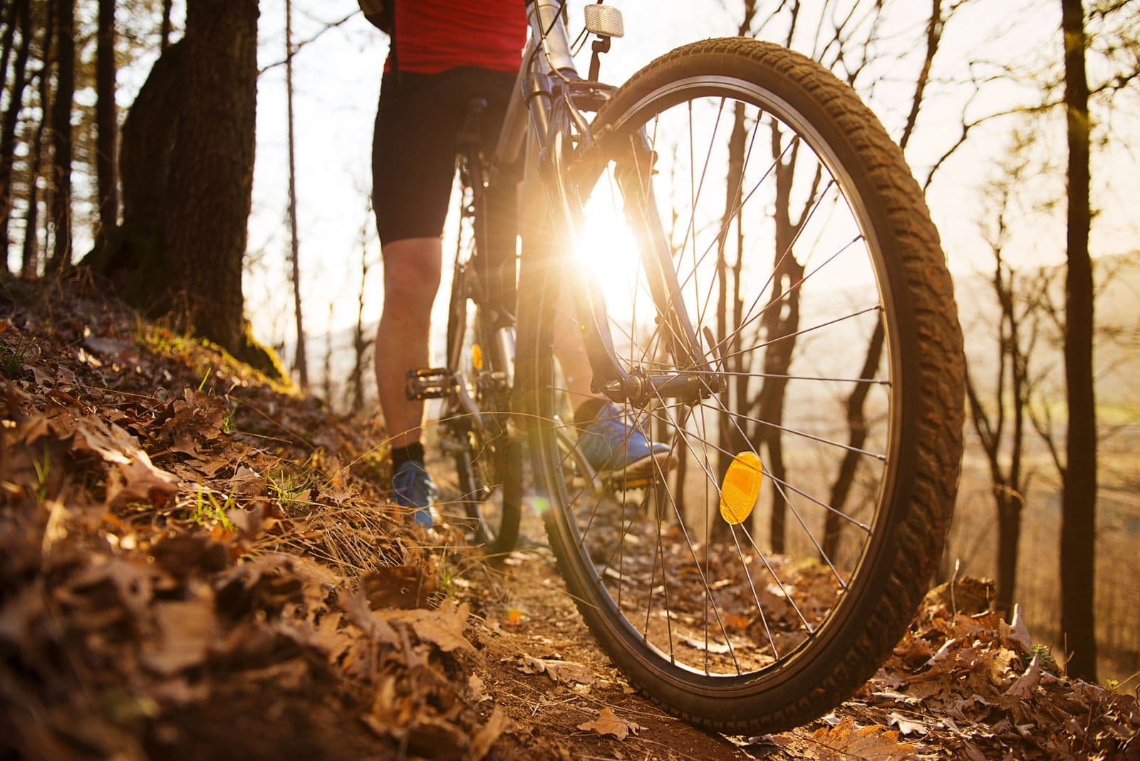 Activitats amb bicicleta