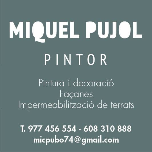Pintor Miquel