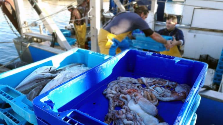 Setmanes crítiques pel sector pesquer de l’arrossegament que es queda sense dies per sortir a pescar