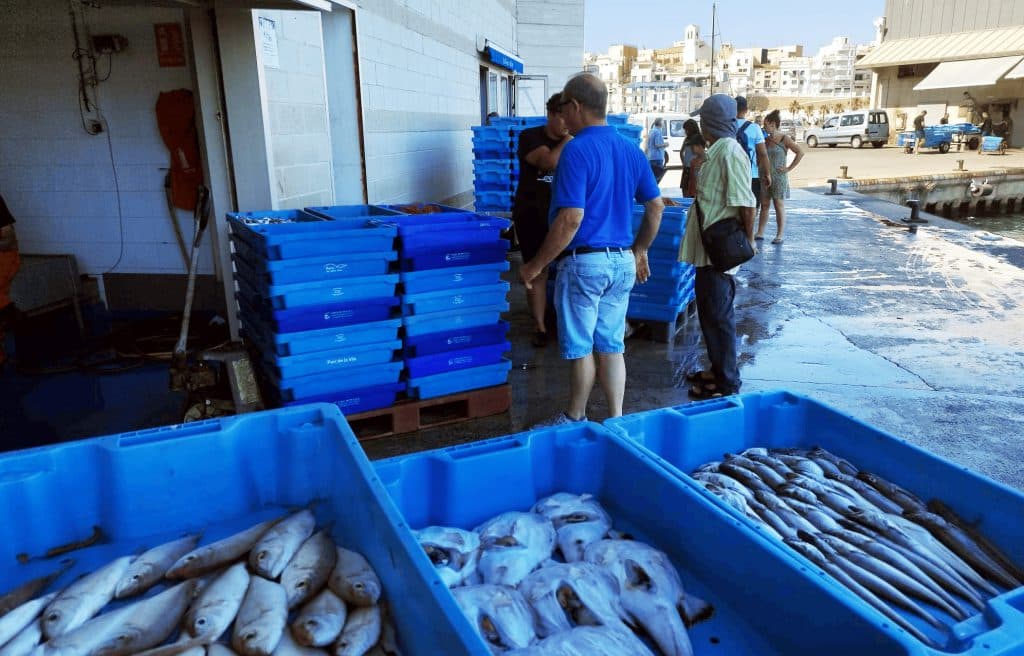 Els pescadors de l’arrossegament comencen la temporada amb més captures i millors preus que l’any passat