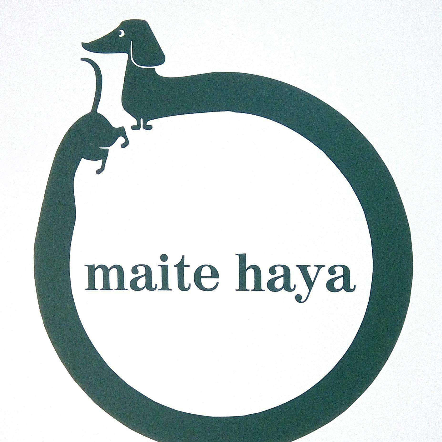 Veterinary Clinic Maite Haya