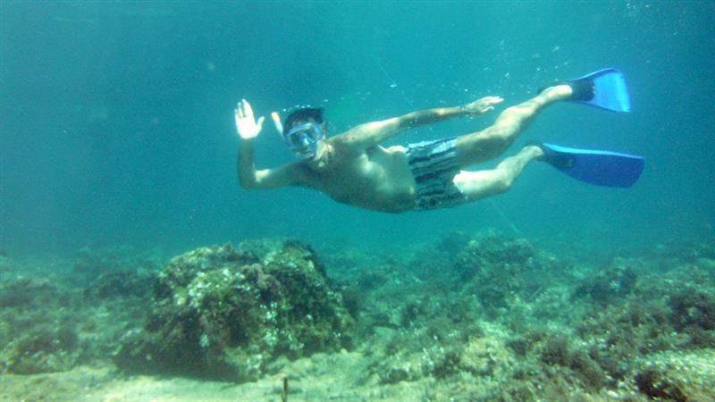 Actividad: Descubre el fondo marino "snorkel" - Mar Natura