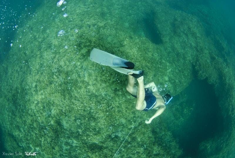 Actividad: Descubre el fondo marino "snorkel" - Mar Natura