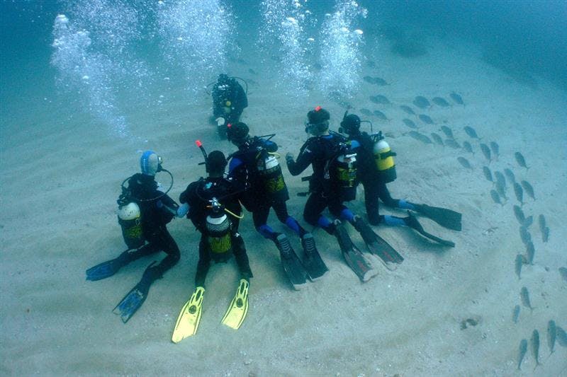 Curso Open Water Diver PADI - Ametlla Diving (Centre de Busseig PADI Autorizado #24626)