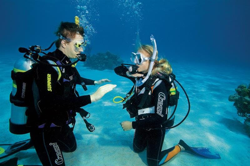 Curso Open Water Diver PADI - Ametlla Diving (Centre de Busseig PADI Autorizado #24626)