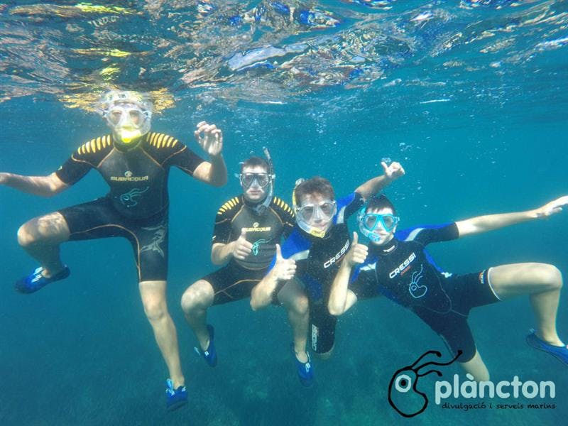 Experiencia snorkel con oceanógrafas - Plàncton Diving