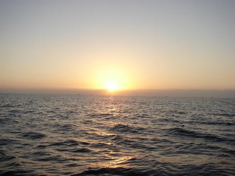 Disfruta del Golfo de Sant Jordi y del Delta de l’Ebre - Serveis Marítims Mementos